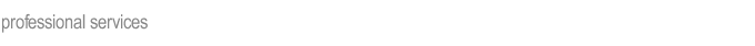 professional services
